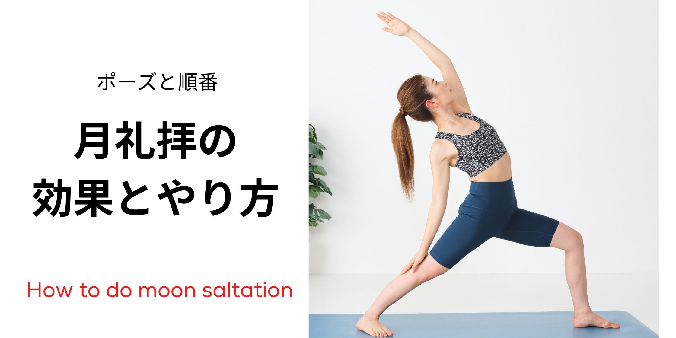 月礼拝  やり方は？-  ポーズと順番