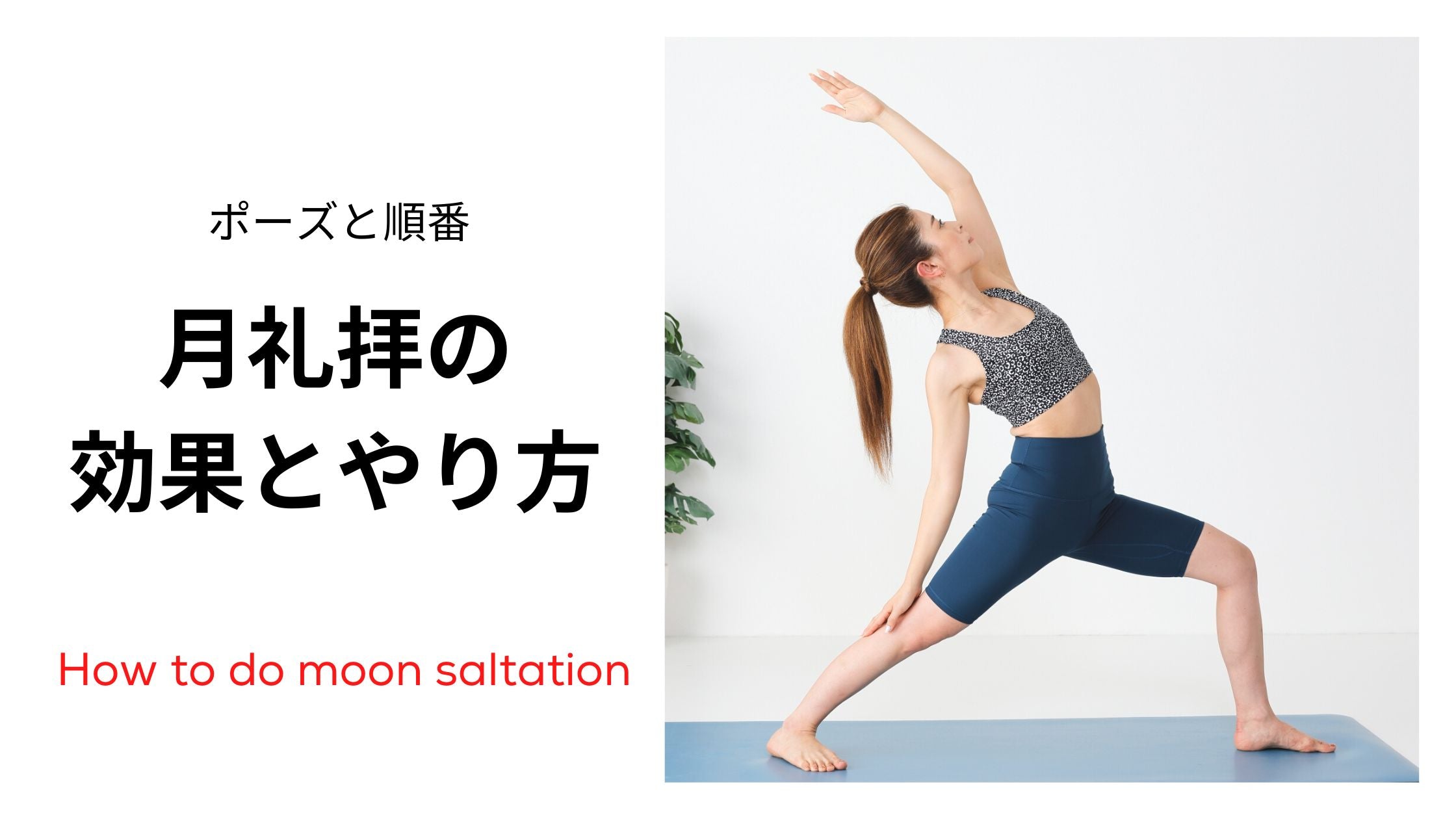 月礼拝  やり方は？-  ポーズと順番