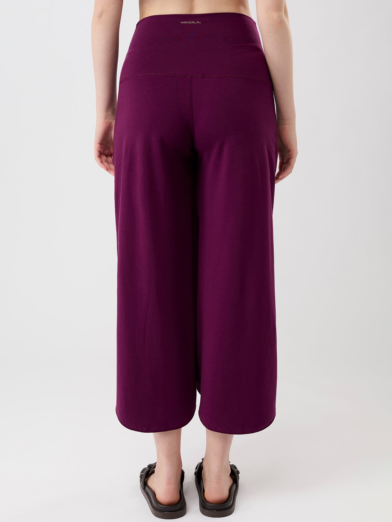 PA23JE99_black-plum02.jpg